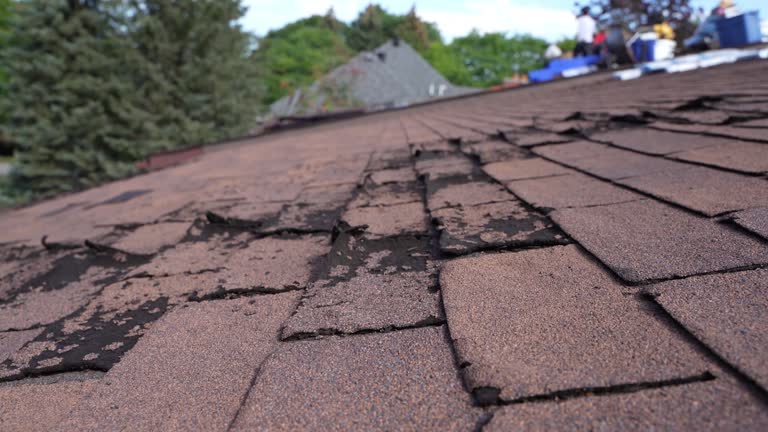 Best Cold Roofs  in Prairie Heights, WA