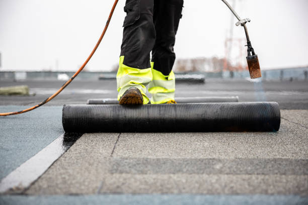 Best Roof Moss and Algae Removal  in Prairie Heights, WA